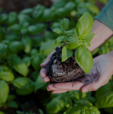  Microgreenz